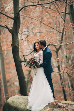 Gorgeous bride and groom kissing and hugging near the cliffs with stunning views.の写真素材