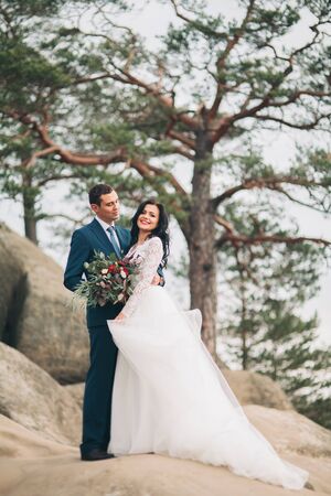 Gorgeous bride and groom kissing and hugging near the cliffs with stunning views.の写真素材