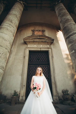 Gorgeous romantic gentle stylish beautiful caucasian bride on the background ancient baroque castle.の写真素材