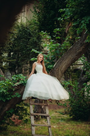 Blonde romantic gentle stylish beautiful caucasian bride sitting on tree.の写真素材