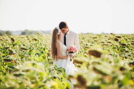 Wedding couple posing in a field of sunflowers.の写真素材