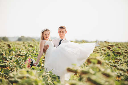 Wedding couple posing in a field of sunflowers.の写真素材