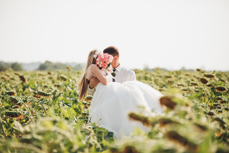 Wedding couple posing in a field of sunflowers.の写真素材
