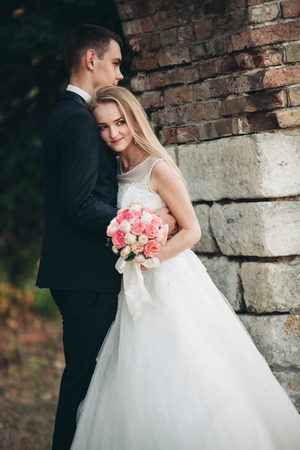 Beautiful romantic wedding couple of newlyweds hugging near old castle.の写真素材