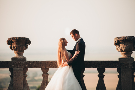 Beautiful romantic wedding couple of newlyweds hugging near old castle.の写真素材