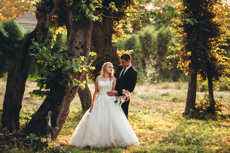 Beautiful romantic wedding couple of newlyweds hugging in park on sunset.の写真素材