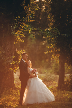 Beautiful romantic wedding couple of newlyweds hugging in park on sunset.の写真素材