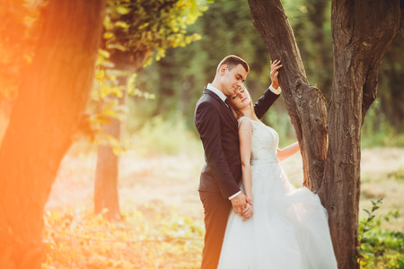 Beautiful romantic wedding couple of newlyweds hugging in park on sunset.の写真素材