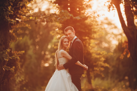 Beautiful romantic wedding couple of newlyweds hugging in park on sunset.の写真素材