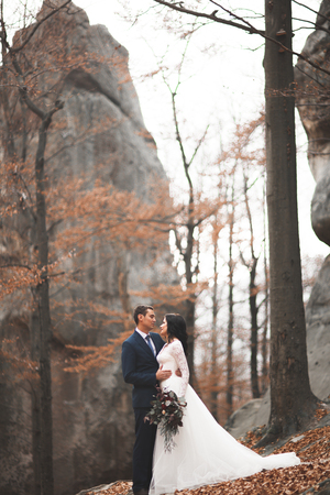 Gorgeous wedding couple hugging in forest with big rocks.の写真素材