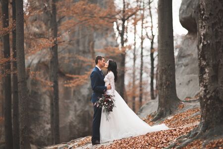 Gorgeous wedding couple hugging in forest with big rocks.の写真素材