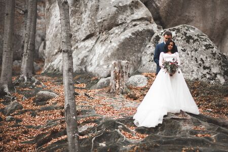 Gorgeous wedding couple hugging in forest with big rocks.の写真素材