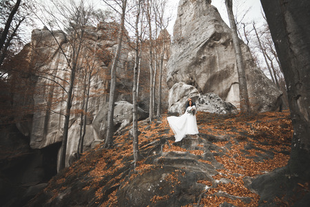 Gorgeous wedding couple hugging in forest with big rocks.の写真素材