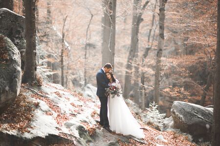Gorgeous wedding couple hugging in forest with big rocks.の写真素材
