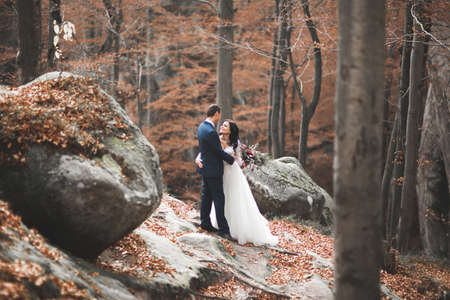 Gorgeous wedding couple hugging in forest with big rocks.の写真素材