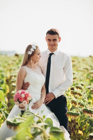 Wedding couple posing in a field of sunflowers.の写真素材