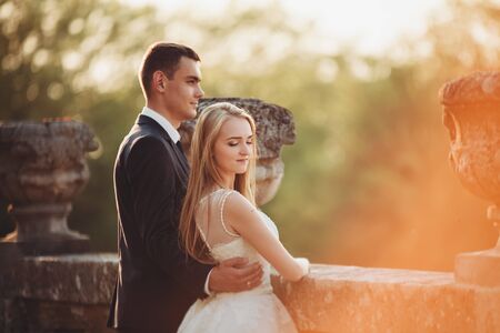 Beautiful romantic wedding couple of newlyweds hugging near old castle.の写真素材