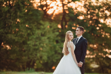 Beautiful romantic wedding couple of newlyweds near old castle.の写真素材