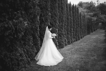 Beautiful brunette bride in elegant white dress holding bouquetの写真素材