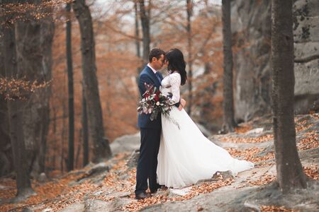 Gorgeous wedding couple hugging in forest with big rocks.の写真素材