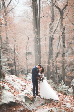 Gorgeous wedding couple hugging in forest with big rocks.の写真素材