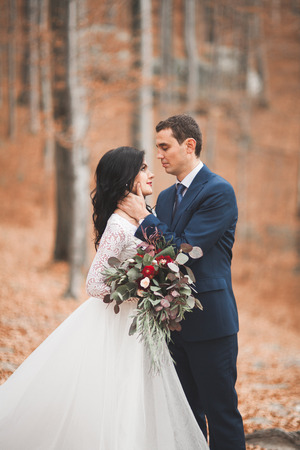 Gorgeous wedding couple hugging in forest with big rocks.の写真素材