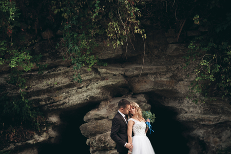 Luxury wedding couple hugging on the background gorgeous plants and cave near ancient castle.の写真素材