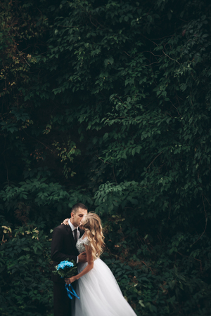 Luxury wedding couple hugging and kissing on the background gorgeous plants and cave near ancient castle.の写真素材