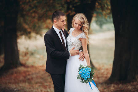 Amazing happy gentle stylish beautiful romantic caucasian couple walking autumn park.の写真素材