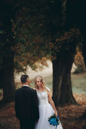Amazing happy gentle stylish beautiful romantic caucasian couple walking in autumn park.の写真素材