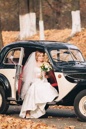 Beautiful happy bride with bouquet in retro car in autumn.の写真素材