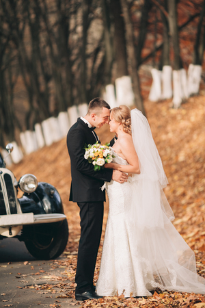 Stylish wedding couple, bride and groom kissing and hugging near retro car in autumn.の写真素材