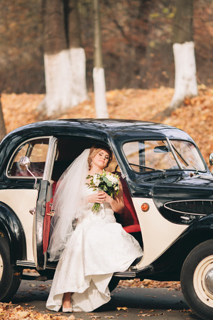 Beautiful happy bride with bouquet inside retro car in autumn.の写真素材