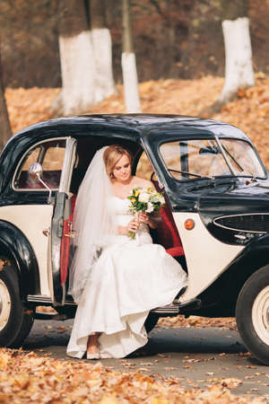 Beautiful happy bride with bouquet inside retro car in autumn.の写真素材
