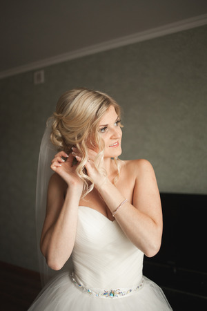 Portrait of beautiful brideの写真素材