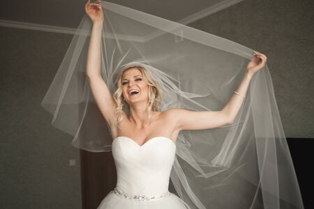 Portrait of beautiful bride with fashion veilの写真素材