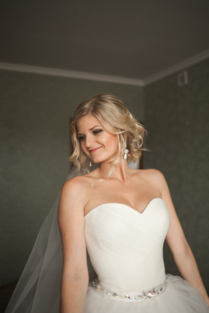 Portrait of beautiful bride with fashion veilの写真素材