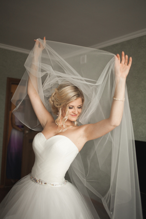 Portrait of beautiful bride with fashion veilの写真素材