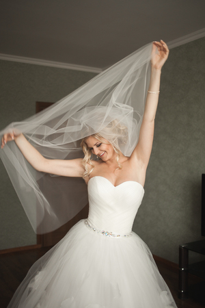 Portrait of beautiful bride with fashion veilの写真素材