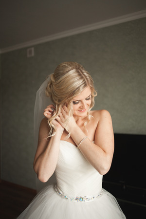 Portrait of beautiful bride with fashion veilの写真素材
