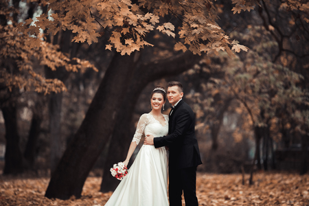 Luxury married wedding couple, bride and groom posing in park autumn.の写真素材