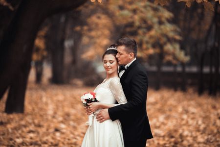 Luxury married wedding couple, bride and groom posing in park autumn.の写真素材