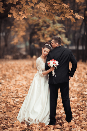 Luxury married wedding couple, bride and groom posing in park autumn.の写真素材