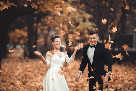 Luxury married wedding couple, bride and groom posing in park autumn.の写真素材