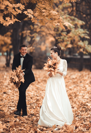 Luxury married wedding couple, bride and groom posing in park autumn.の写真素材