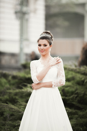 Wonderful bride with a luxurious white dress posing in the old town.の写真素材