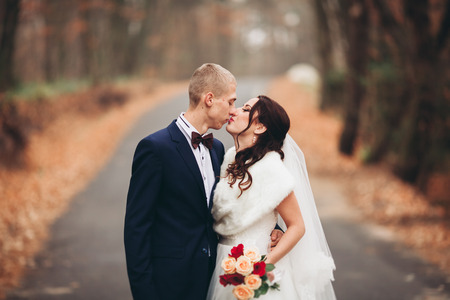 Happy wedding couple, bride and groom kissing in park autumn.の写真素材