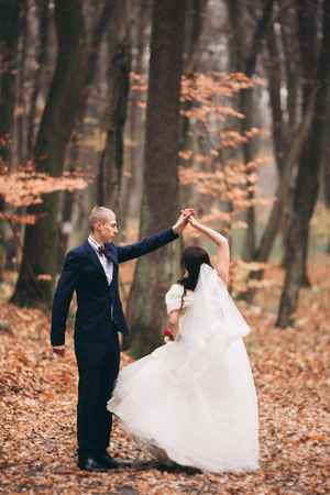 Happy wedding couple, bride and groom posing in park autumn.の写真素材