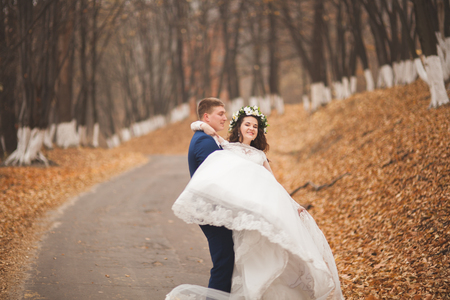 Happy wedding couple, bride and groom in the autumn forest, park.の写真素材