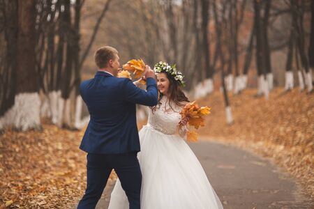 Happy wedding couple, bride and groom in the autumn forest, park.の写真素材